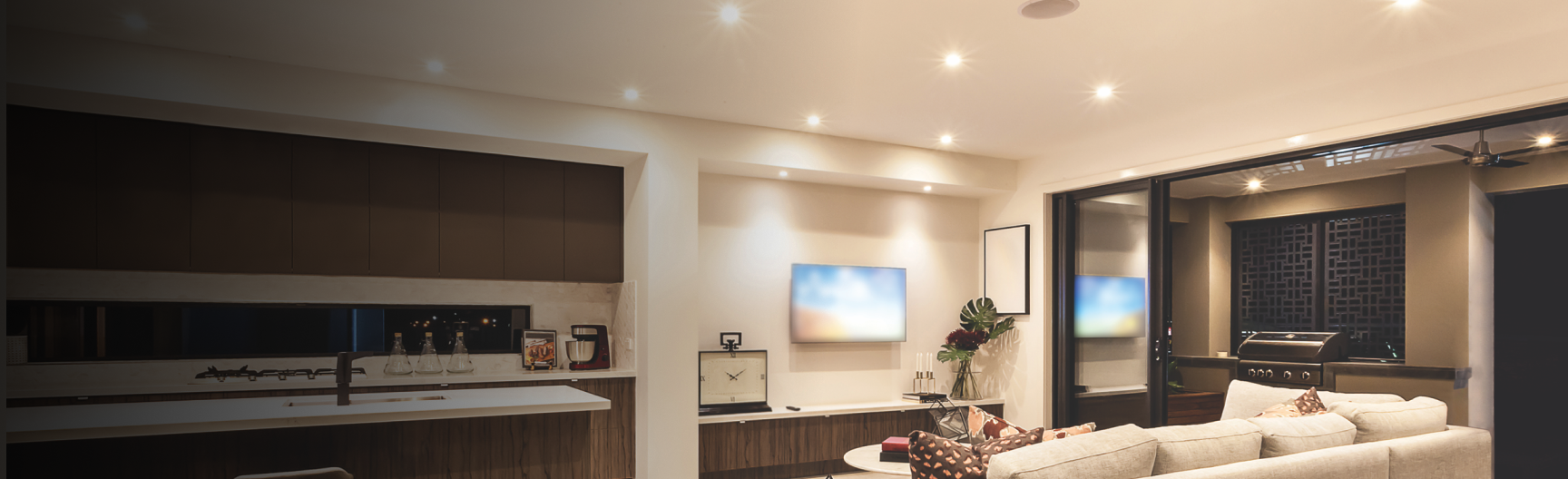 Cob Downlights
