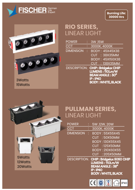 LED Outdoor Lights