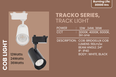 LED Surface Lights